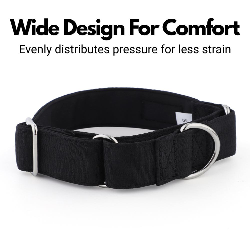 Black Padded Martingale Collar for Sighthounds