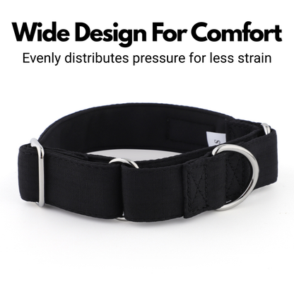 Black Padded Martingale Collar for Sighthounds