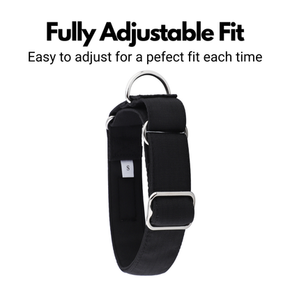 Black Padded Martingale Collar for Sighthounds