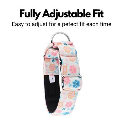 Paw Print Martingale Collar for Sighthounds - Padded