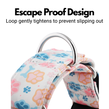 Paw Print Martingale Collar for Sighthounds - Padded