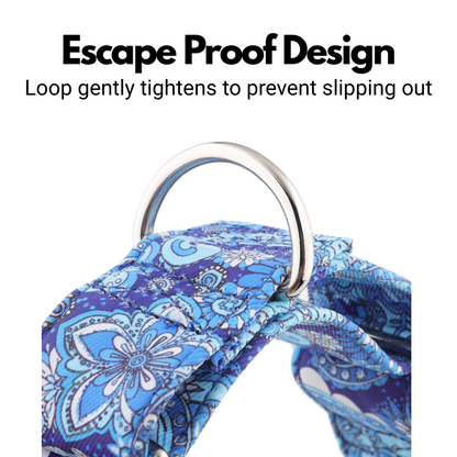 Blue Paisley Padded Martingale Collar for Sighthounds