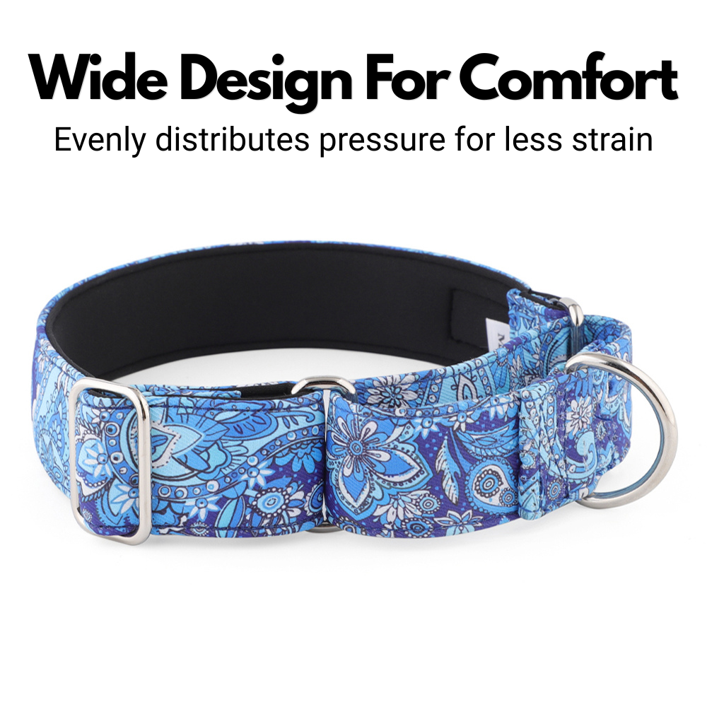 Blue Paisley Padded Martingale Collar for Sighthounds
