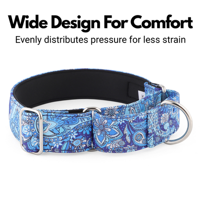 Blue Paisley Padded Martingale Collar for Sighthounds