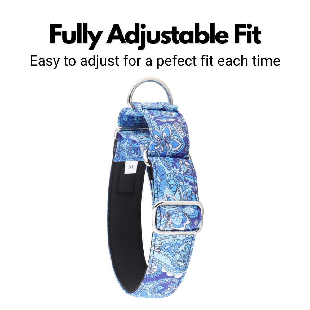 Blue Paisley Padded Martingale Collar for Sighthounds