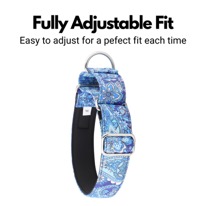 Blue Paisley Padded Martingale Collar for Sighthounds