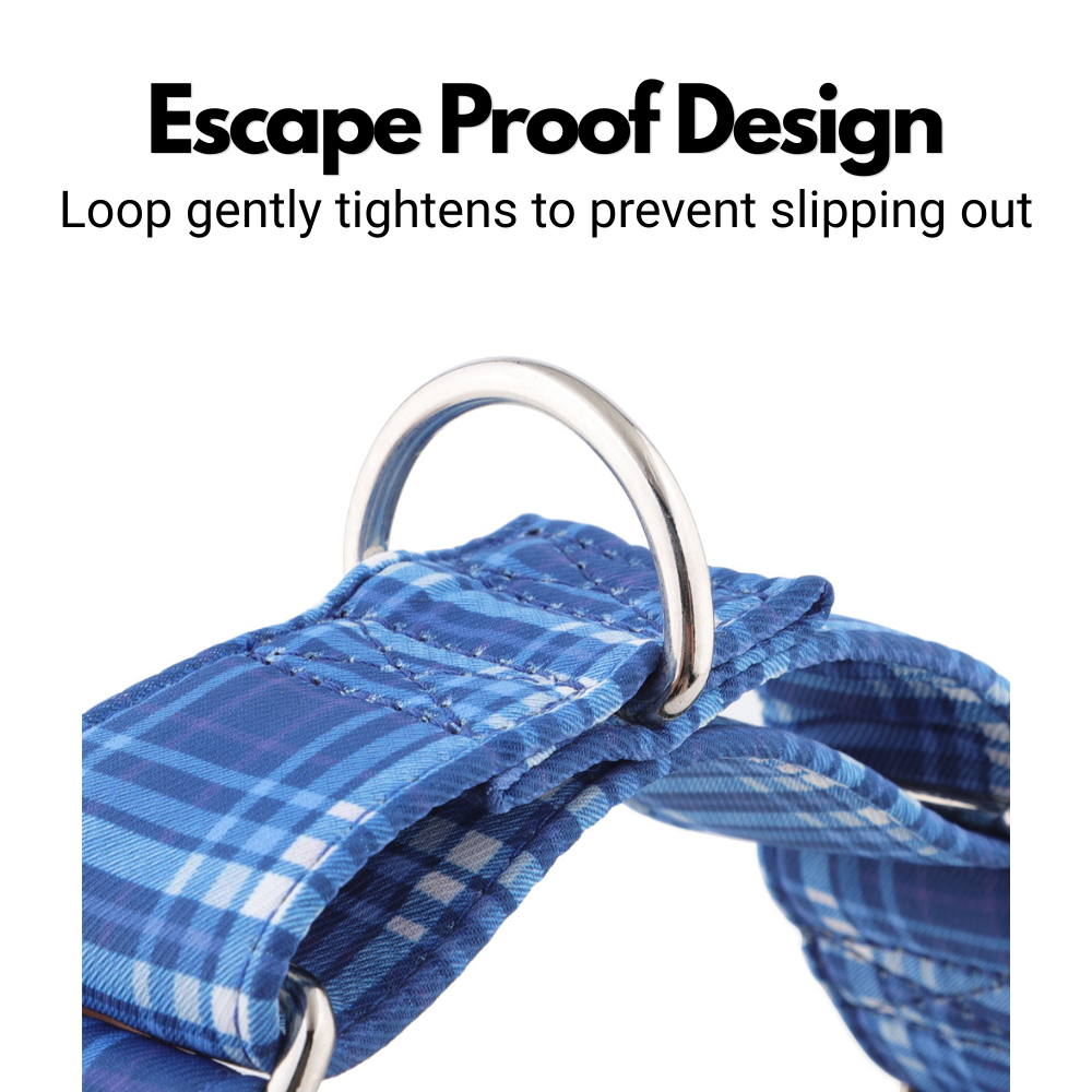 Blue Tartan Check Martingale Collar for Sighthounds - Padded