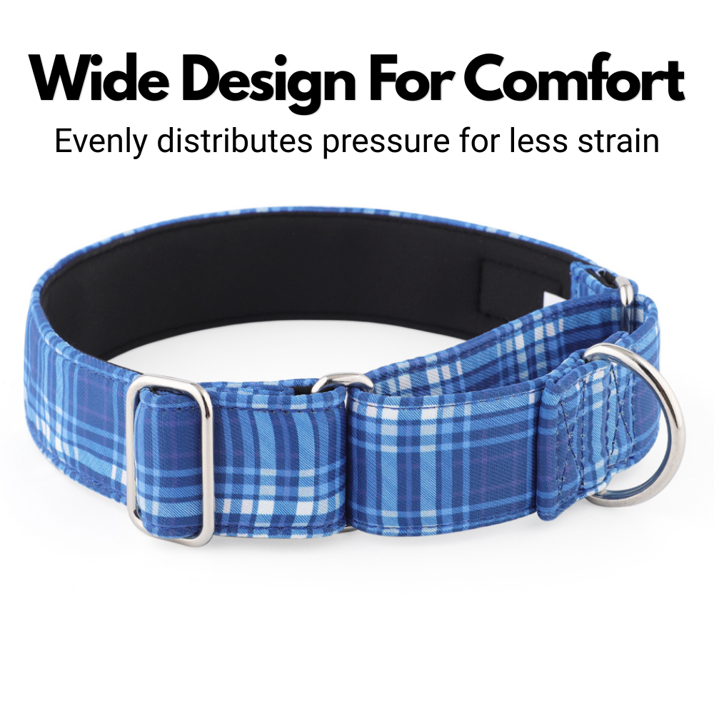 Blue Tartan Check Martingale Collar for Sighthounds - Padded