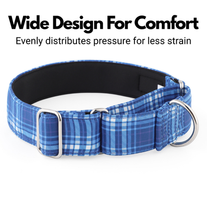 Blue Tartan Check Martingale Collar for Sighthounds - Padded