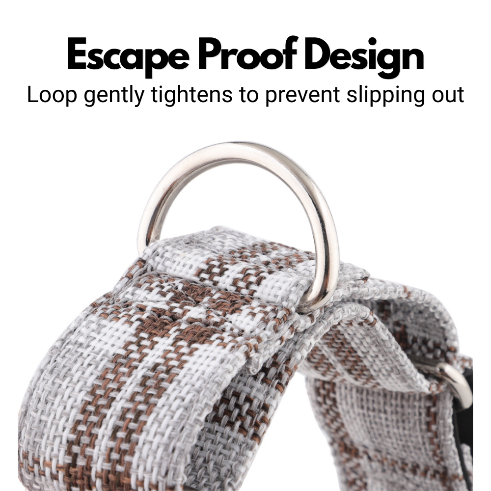 Grey Plaid Check Martingale Collar for Sighthounds - Padded