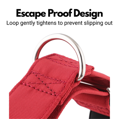 Burgundy Red Padded Martingale Collar for Sighthounds