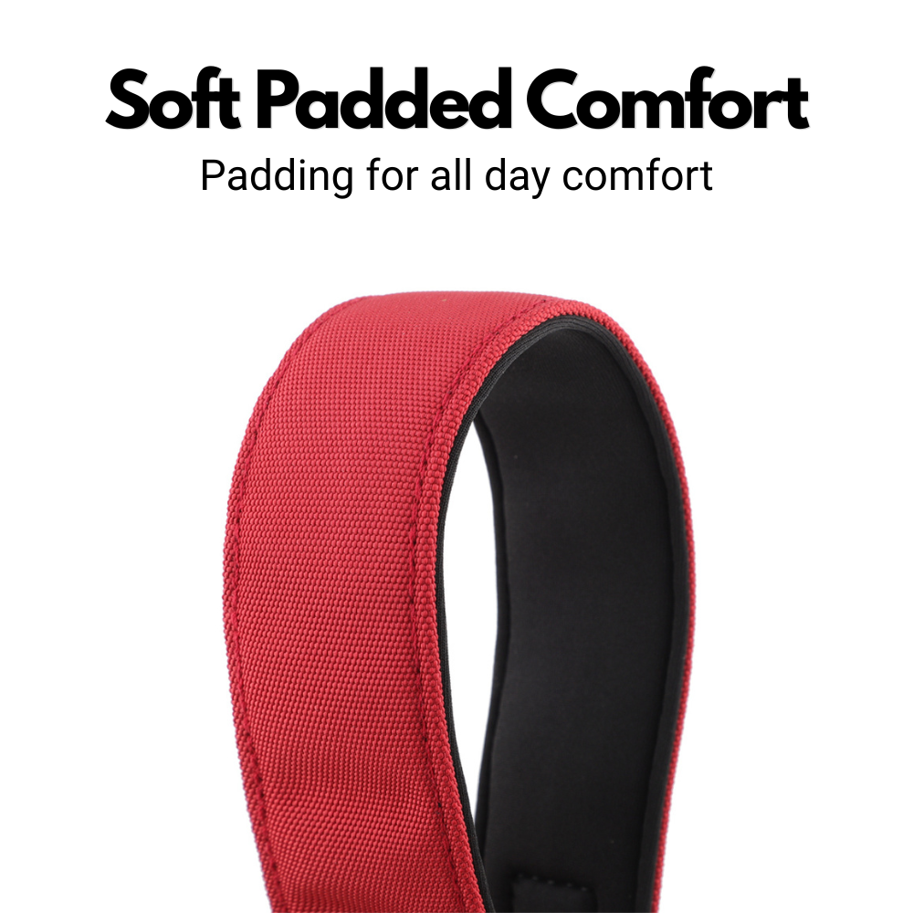 Burgundy Red Padded Martingale Collar for Sighthounds
