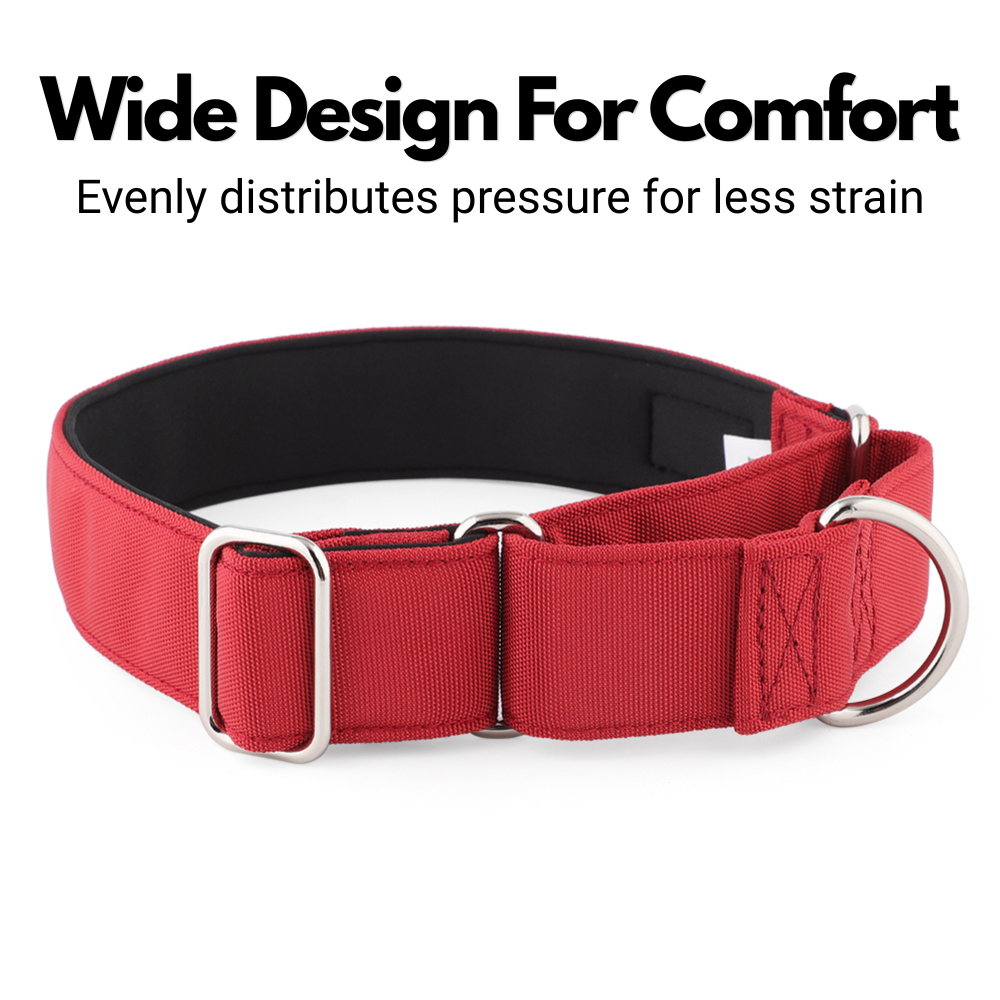 Burgundy Red Padded Martingale Collar for Sighthounds