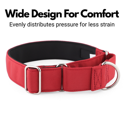 Burgundy Red Padded Martingale Collar for Sighthounds