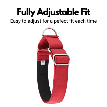 Burgundy Red Padded Martingale Collar for Sighthounds