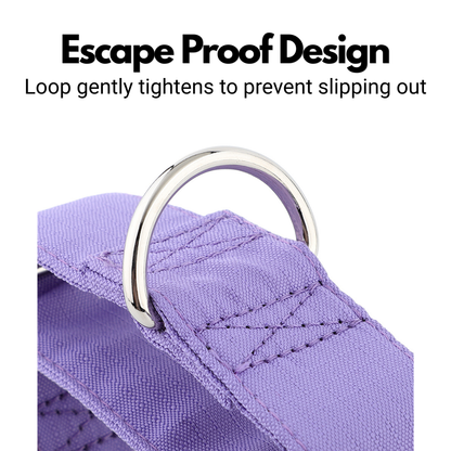 Purple Padded Martingale Collar For Sighthounds