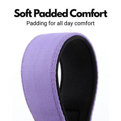 Purple Padded Martingale Collar For Sighthounds