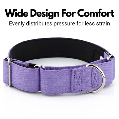 Purple Padded Martingale Collar For Sighthounds