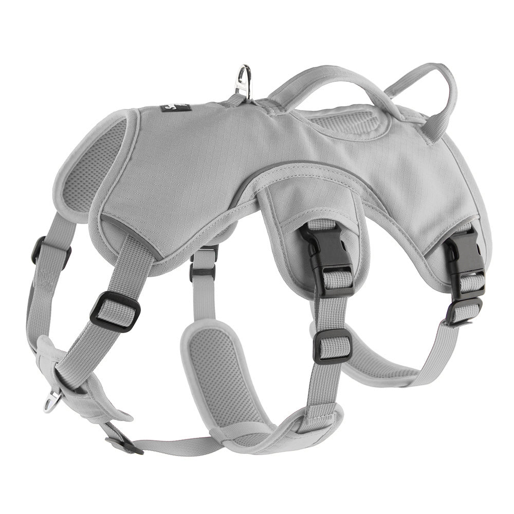 grey harness for whippets and other sighthound breeds