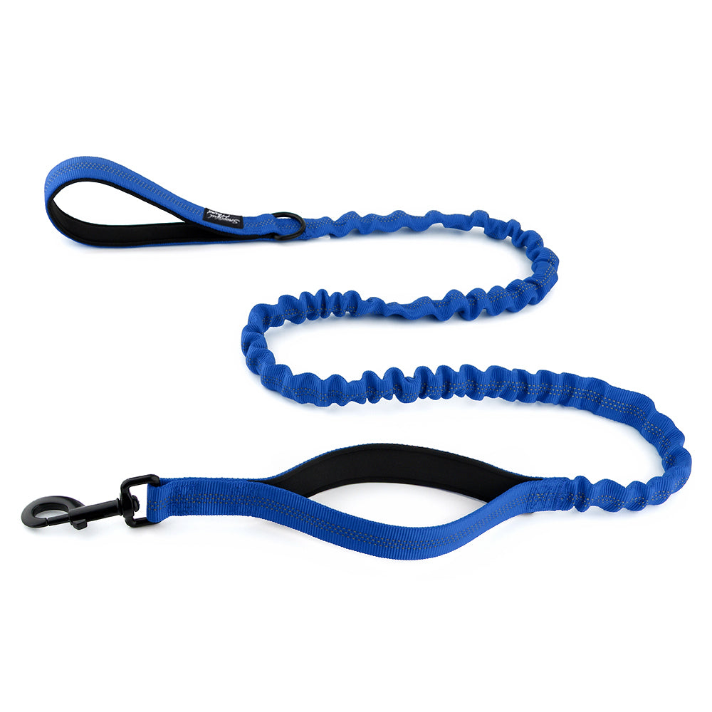Bungee Dog Lead - Shock Absorbing Lead With Double Handles