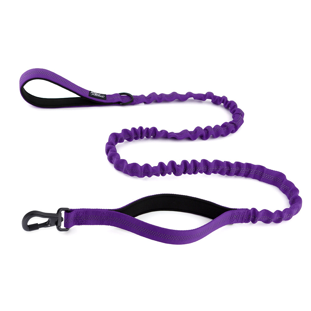 Secure Bungee Dog Lead With Carabiner Locking Clip - Double Handle