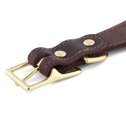 Leather Fishtail Collar For Whippets, Greyhounds and Lurchers
