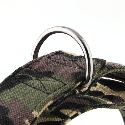 Martingale Collar - Green Camo | Whippets & Greyhounds