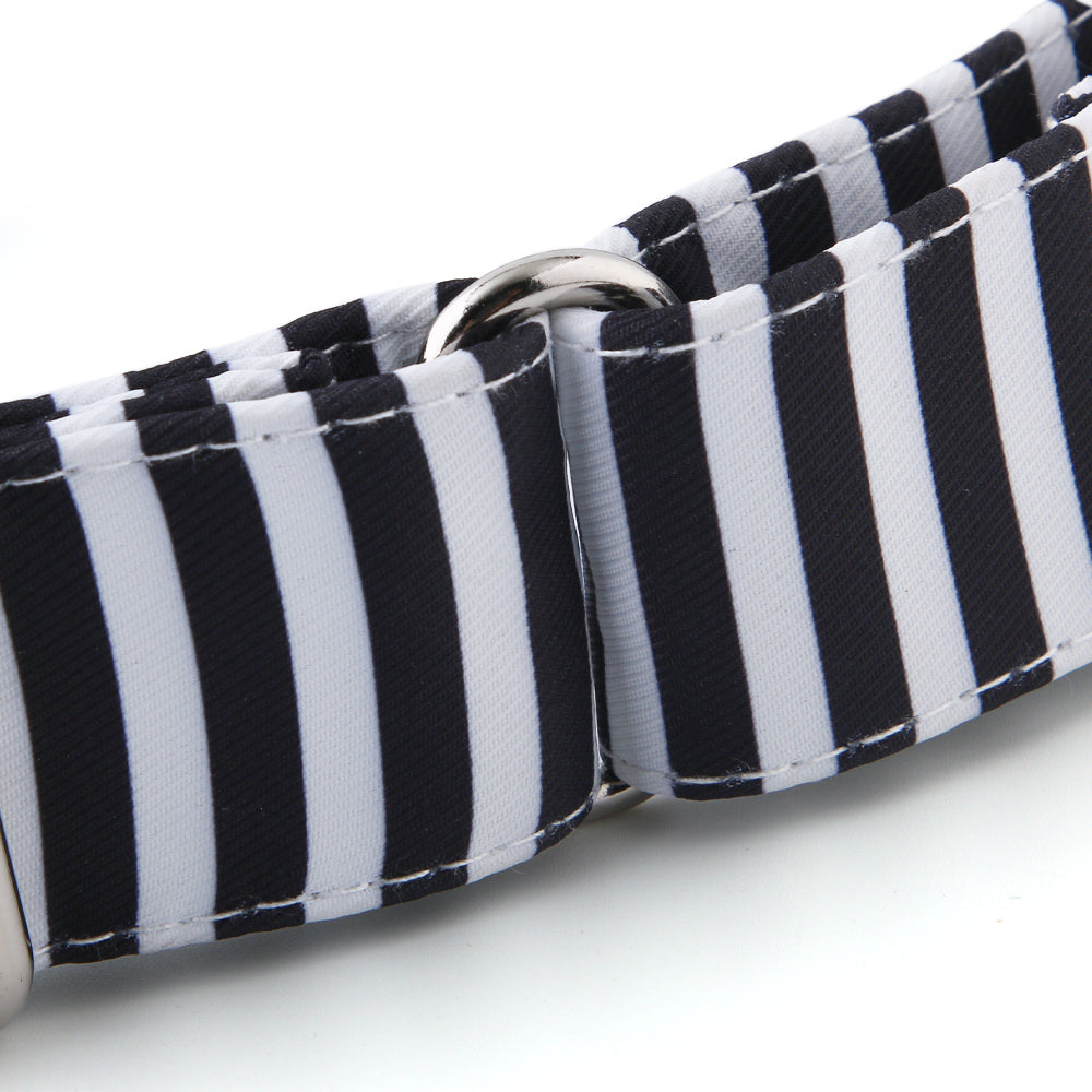 Martingale Collar - Black & White Stripe | Whippets & Greyhounds