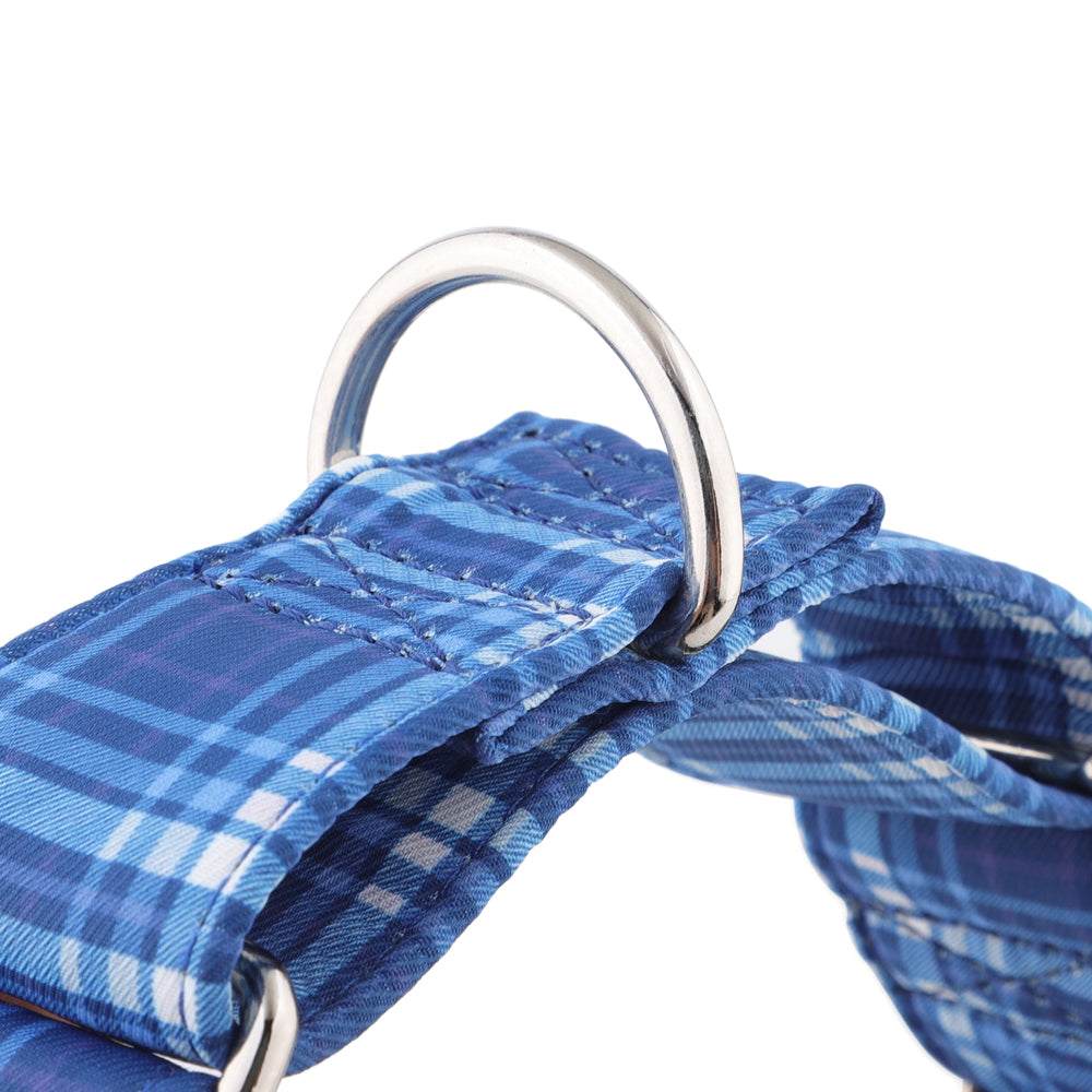 Blue Tartan Check Martingale Collar for Sighthounds - Padded