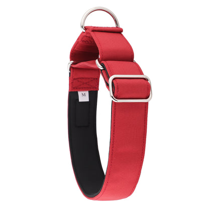 Burgundy Red Padded Martingale Collar for Sighthounds
