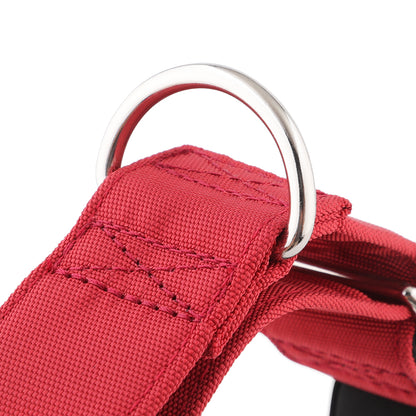 Burgundy Red Padded Martingale Collar for Sighthounds