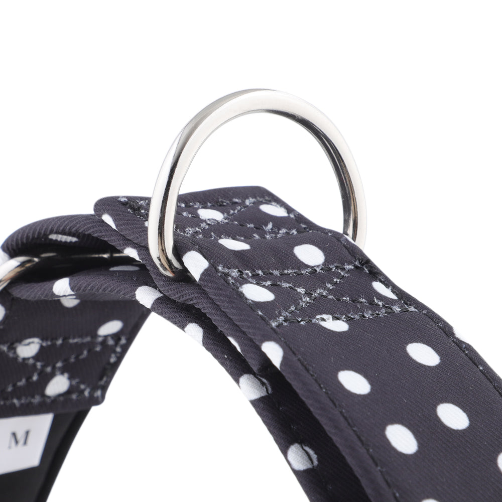 Black & White Polka Dot Martingale Collar for Sighthounds - Padded