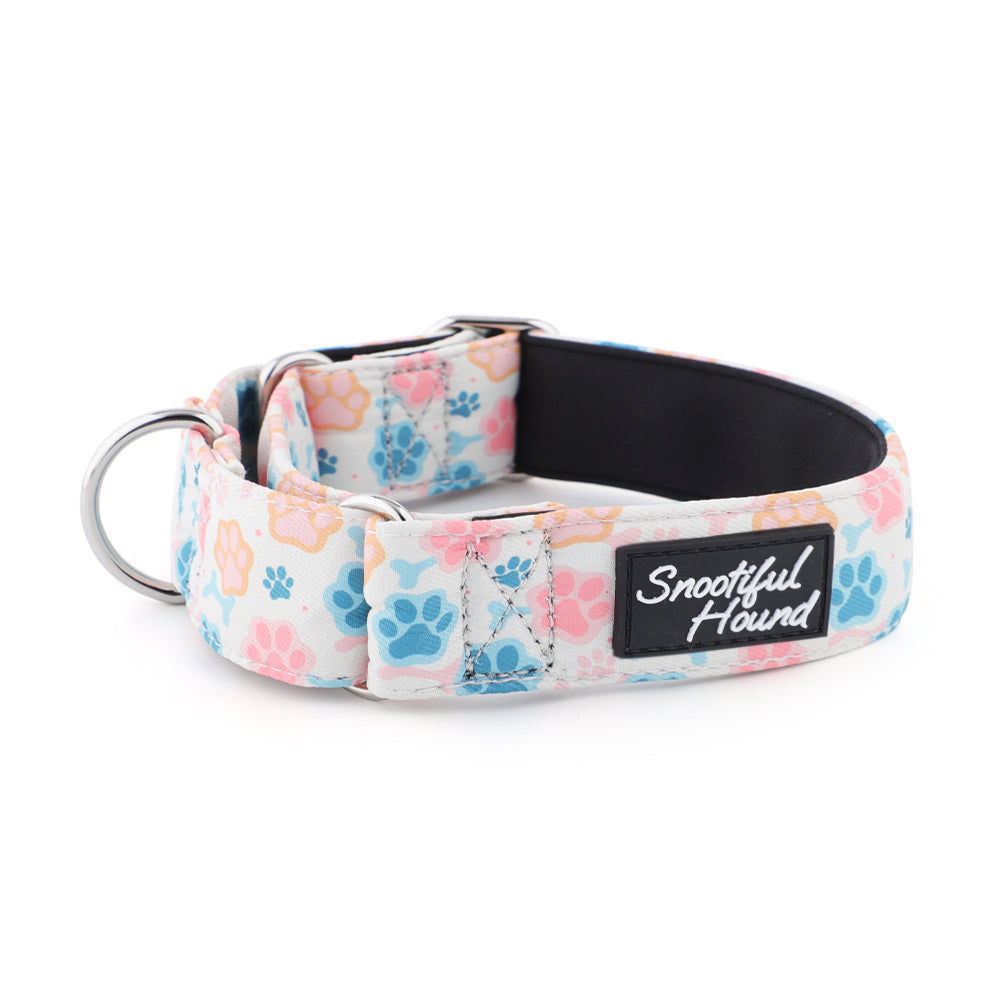 Martingale Collar - Paw Print | Whippets & Greyhounds | Padded