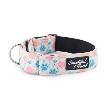 Martingale Collar - Paw Print | Whippets & Greyhounds | Padded
