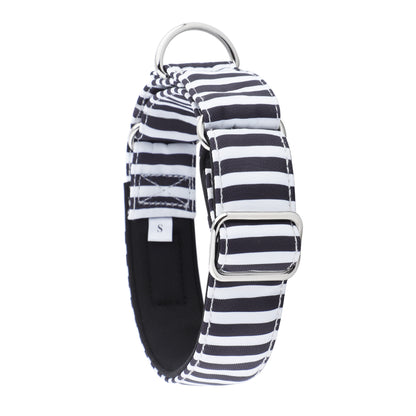 White & Black Striped Martingale Collar for Sighthounds - Padded
