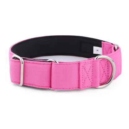 Pink Padded Martingale Collar for Sighthounds