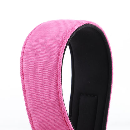 Pink Padded Martingale Collar for Sighthounds