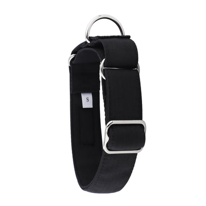 Black Padded Martingale Collar for Sighthounds