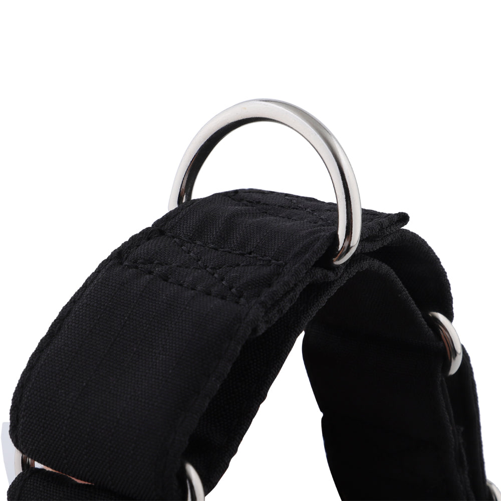 Black Padded Martingale Collar for Sighthounds