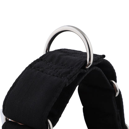 Black Padded Martingale Collar for Sighthounds