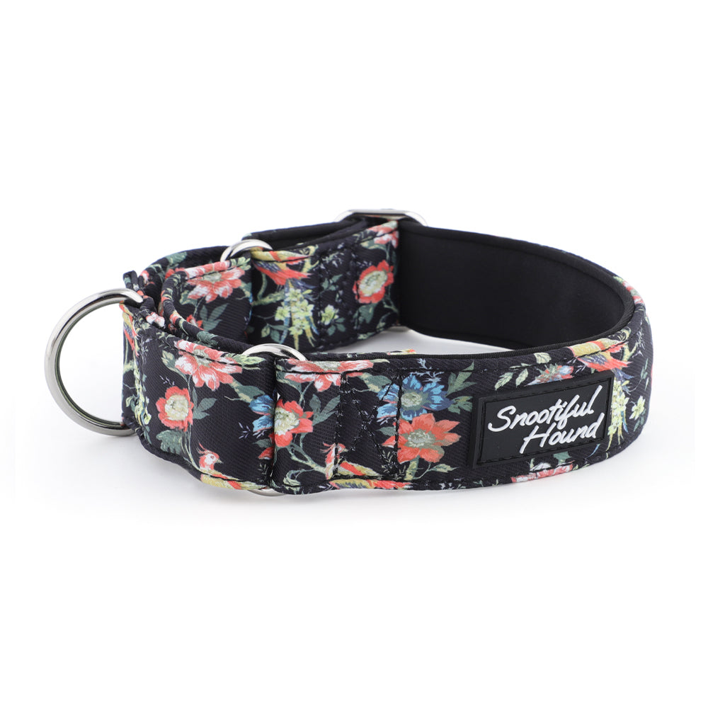Martingale Collar - Black Floral | Whippets & Greyhounds | Padded