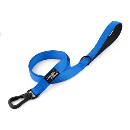 Secure Locking Dog Lead With Carabiner Clip - Padded Handle