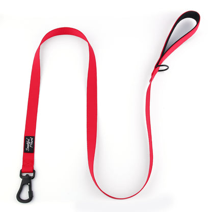 Secure Locking Dog Lead With Carabiner Clip - Padded Handle