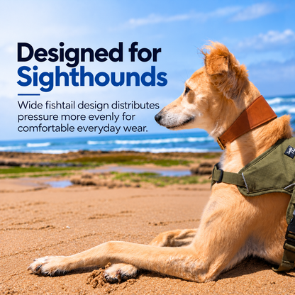 Leather Fishtail Collar For Whippets, Greyhounds and Lurchers
