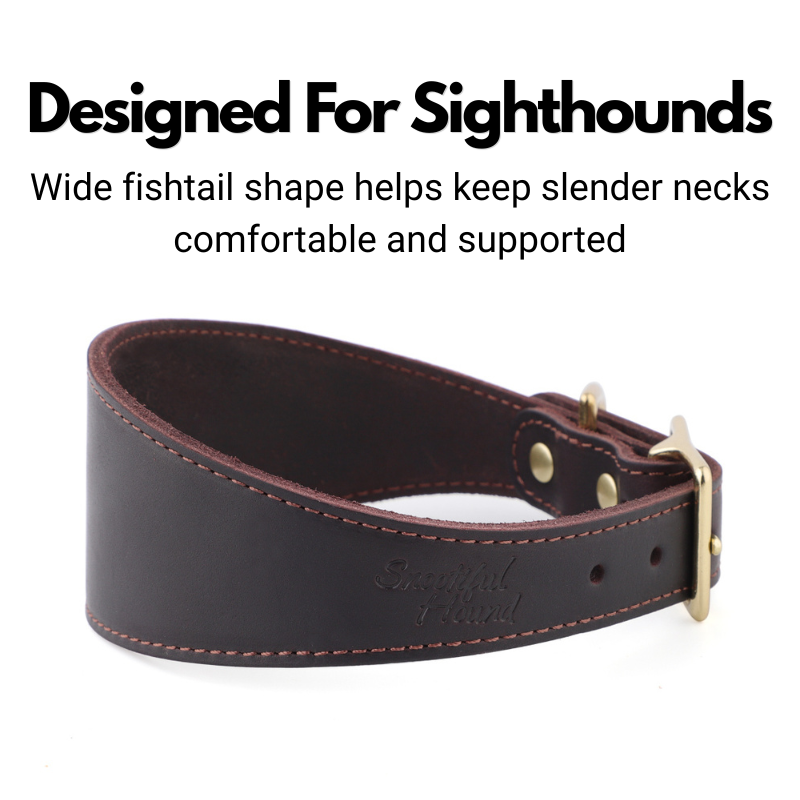 Leather Fishtail Collar For Whippets, Greyhounds and Lurchers