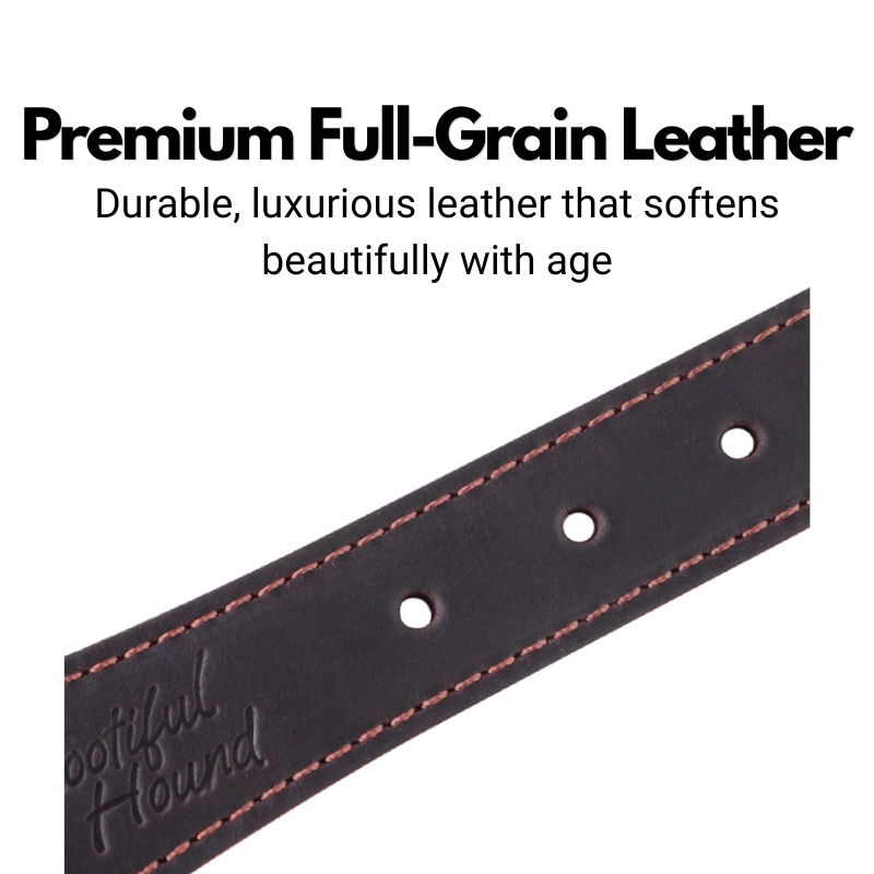 Leather Fishtail Collar For Whippets, Greyhounds and Lurchers