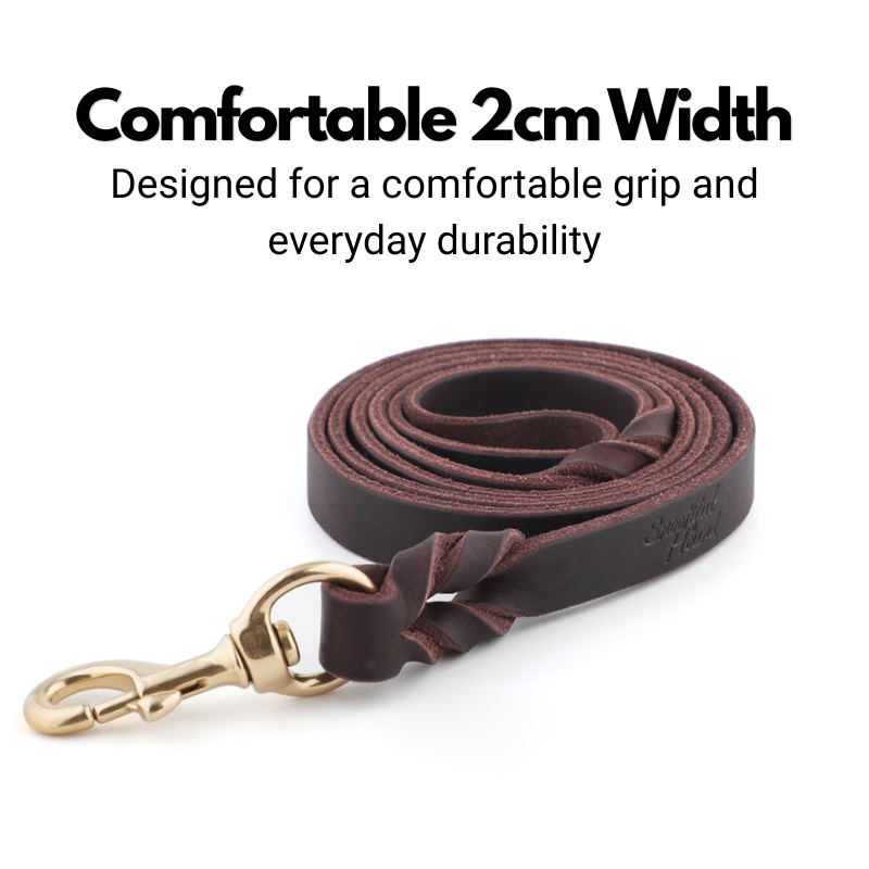 Leather Dog Lead - 150cm - Braided Finish