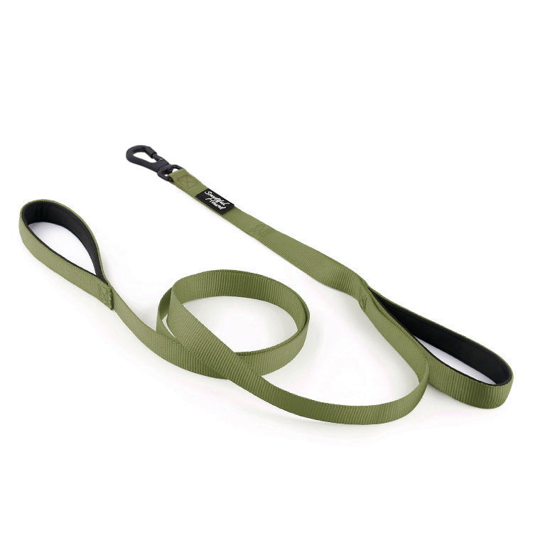 Dual handle green lead with locking carabiner clip