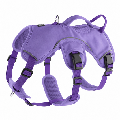 Sighthound Harness | Whippets, Greyhounds & Lurchers | Escape Proof