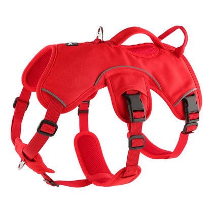 Sighthound Harness | Whippets, Greyhounds & Lurchers | Escape Proof